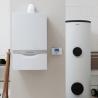 Raets verwarming / Vaillant Ecotec Plus 